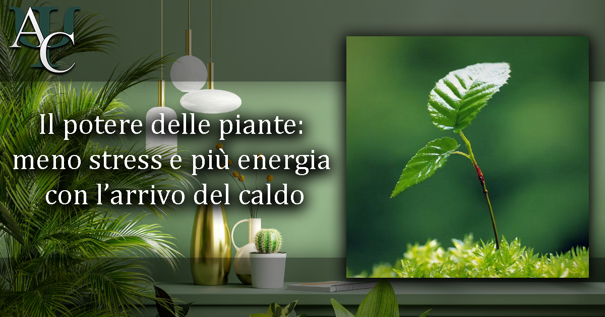Logo articolo